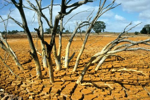 ENSO trở lại: Kịch bản thời tiết nào chờ Việt Nam?