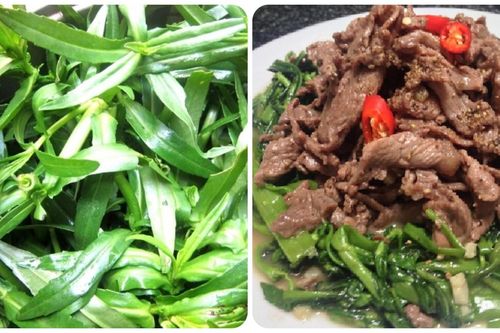 Rau ngổ có tác dụng gì với sức khỏe?
