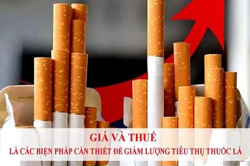 Chuyên gia của WHO: Nên tăng thuế thuốc lá sớm nhất có thể để 'cùng thắng'