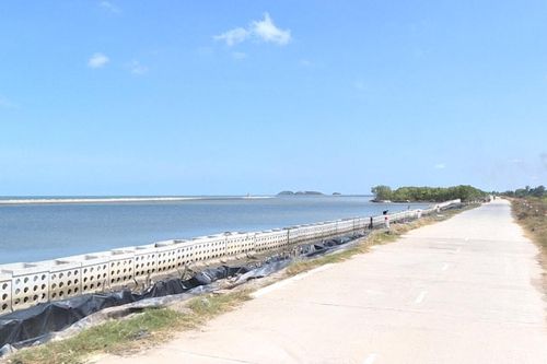 Vai trò của dự án đê biển Tây trong chiến lược ứng phó với biến đổi khí hậu