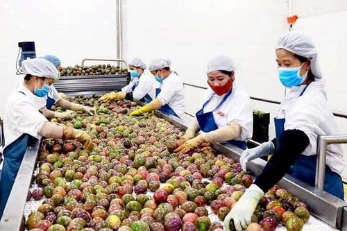 Mở rộng thị trường xuất khẩu nông sản Việt