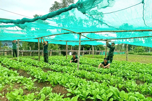 Đẩy mạnh tăng gia sản xuất cải thiện đời sống bộ đội