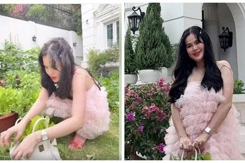 Phương Lê dùng túi hiệu 400 triệu đựng rau