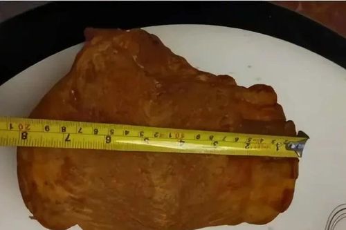Dọn nhà nhặt được bong bóng cá khô, ai ngờ là báu vật tiền tỷ