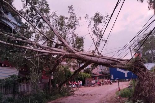 Yên Bái dông lốc khiến 1 người bị thương, 59 nhà dân bị ảnh hưởng