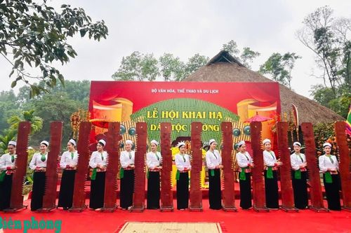 Lịch tre - 'Báu vật' thời gian của người Mường