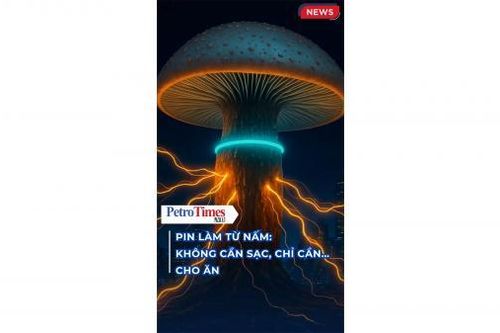 Pin làm từ nấm: Không cần sạc, chỉ cần… cho ăn