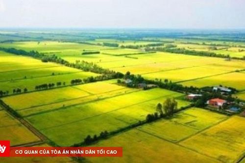 Rà soát quy định trong lĩnh vực đất đai khi tổ chức chính quyền địa phương hai cấp