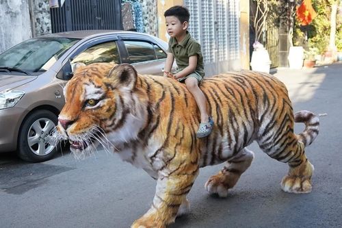 Chàng trai làm mô hình hổ sống động, xôn xao hẻm nhỏ TPHCM