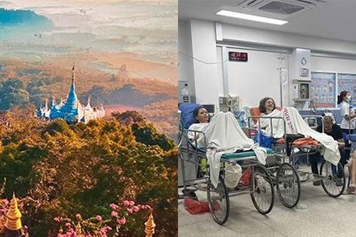 5 du khách nhập viện vì ăn quả mọc dại trong công viên
