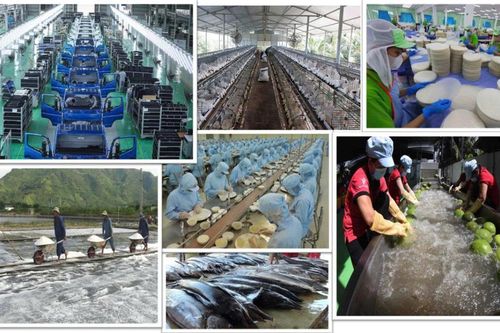 Xung lực mới cho kinh tế tư nhân
