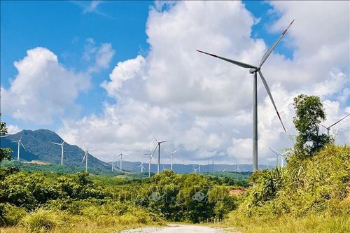 Quảng Trị: Yêu cầu chủ đầu tư thực hiện các dự án điện gió như cam kết