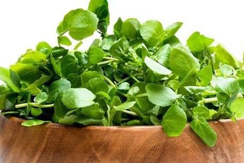 2 loại rau người Việt thích mê dễ là 'ổ sán', nhất là cái số 1