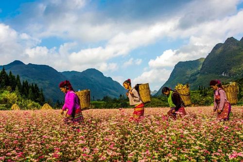 Hà Giang vào Top 10 điểm đến đẹp nhất thế giới
