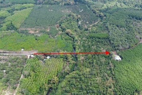 Nghiên cứu đầu tư tuyến đường kết nối Bình Phước và Đồng Nai qua cầu Mã Đà