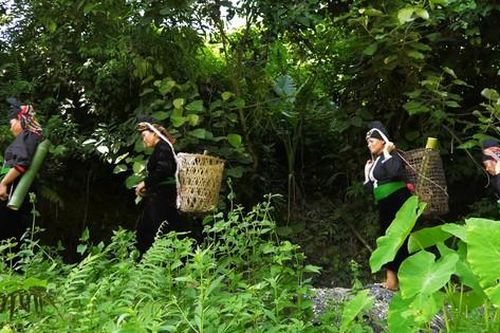 Phụ nữ La Ha 'giữ lửa' văn hóa truyền thống
