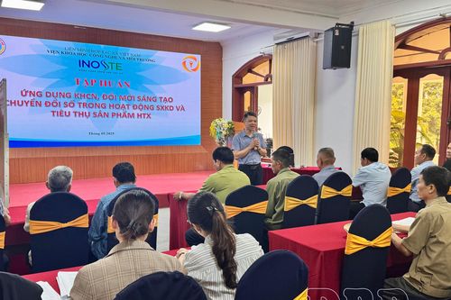 Nâng cao năng lực vận hành thương mại điện tử, chợ trực tuyến