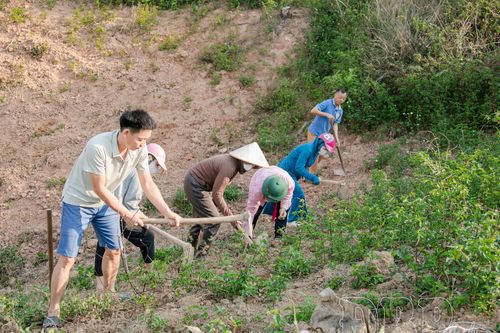 Đồng hành hỗ trợ người dân phát triển kinh tế
