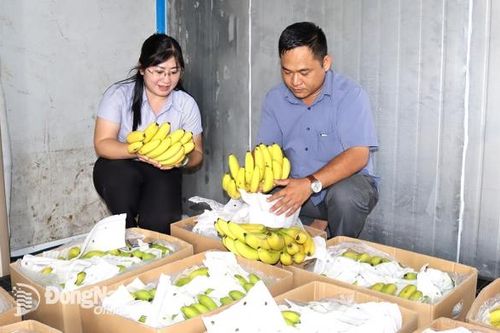 Nhân rộng mô hình sản xuất nông nghiệp hữu cơ