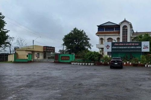 Giám đốc Công ty Cà phê Ia Châm bị cách hết chức vụ trong Đảng