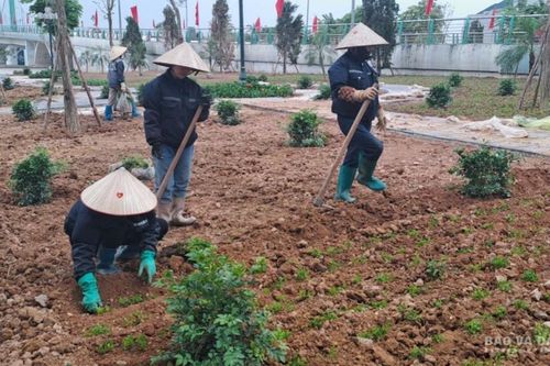 Phấn đấu đưa công trình khuôn viên cây xanh vào khai thác trước ngày sinh nhật Bác
