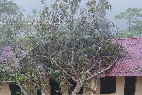 Mưa dông đầu mùa làm 12 nhà dân bị tốc mái