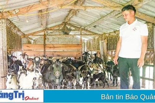 Thu nhập đến 350 triệu đồng mỗi năm từ nuôi dê
