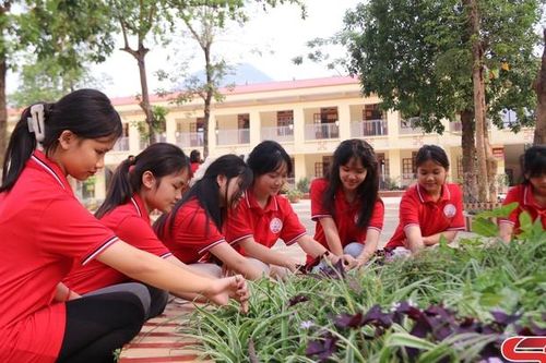 Xây dựng môi trường học đường thân thiện và an toàn