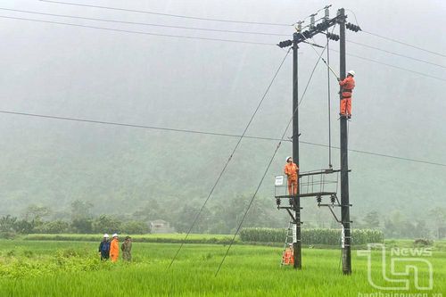 Xử lý nghiêm các trường hợp vi phạm gây thiệt hại cho lưới điện