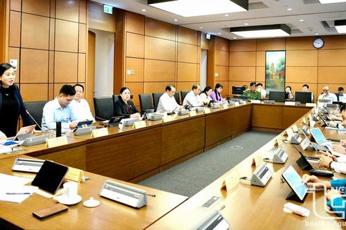 Kỳ họp thứ 9, Quốc hội khóa XV: Thảo luận tổ về 3 dự án luật