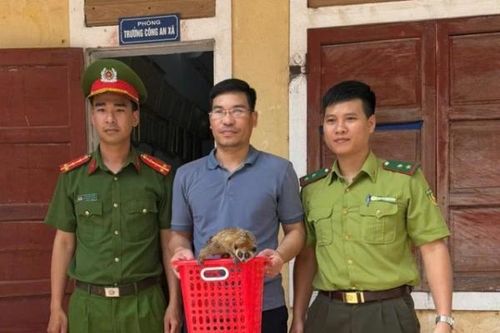 Thả động vật cực kỳ nguy cấp về Vườn Quốc gia Phong Nha - Kẻ Bàng