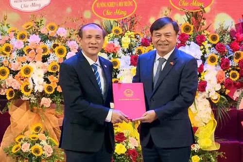 Đẩy mạnh đào tạo mới cho kinh tế xanh, kinh tế số