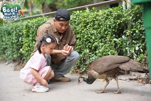 Bố ơi, mình đi đâu thế? 2025 - Hành trình tập sự 1: Hỏi, khóc, cười - các cặp bố con 'triệu view' làm khuynh đảo Thảo Cầm Viên Sài Gòn