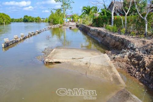Bờ kè kênh đang thi công thì bị sạt lở