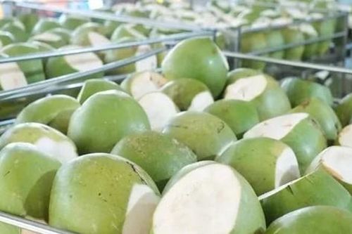 Không phải sầu riêng, một báu vật triệu đô của Việt Nam đang lên cơn sốt giá trên toàn thế giới, Mỹ và Trung Quốc nhập khẩu hàng đầu