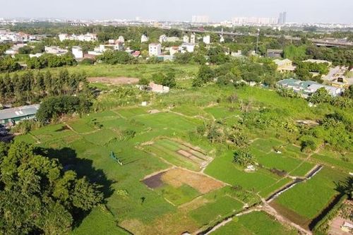 Những quy định cần biết về thực hiện thừa kế đất đai 2025