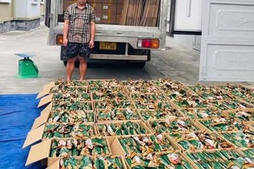 Phát hiện hơn 5 tấn chân gà rút xương không nguồn gốc xuất xứ