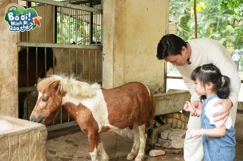 'Bố ơi, mình đi đâu thế?' trở lại: Quách Ngọc Tuyên và con gái cùng khoảnh khắc 'đốn tim' khán giả