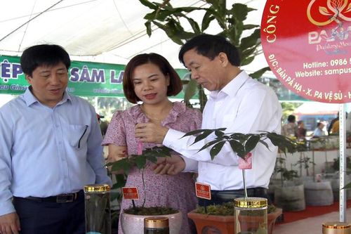 Lai Châu tổ chức sự kiện thúc đẩy liên kết vùng và thương mại điện tử