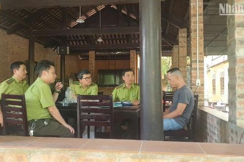 Kiểm lâm Huế bất ngờ kiểm tra các điểm mua bán, cà-phê chim cảnh