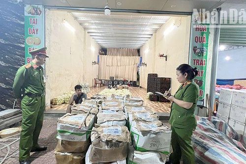 Sơn La phát hiện nhiều rau, củ, quả có chất gây hại