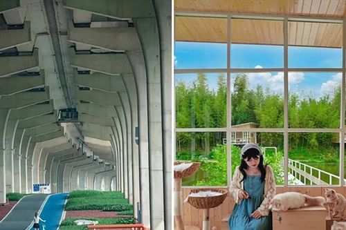 Gen Z định hình xu hướng du lịch tại Trung Quốc