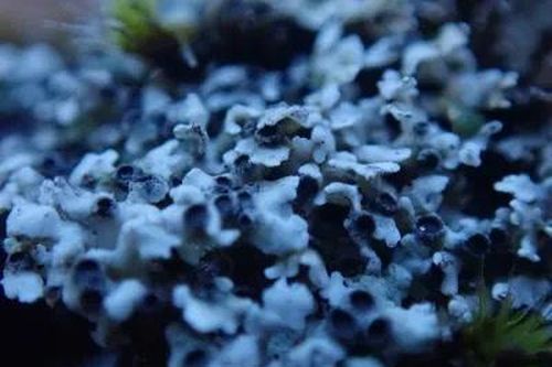 Lộ diện 'ứng viên' sáng giá cho sự sống ngoài Trái Đất