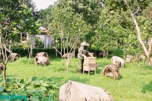 Nuôi ong lấy mật - nghề tiềm năng của nông dân huyện biên giới Hương Sơn