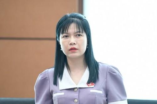 Đại biểu Quốc hội: Không nên áp dụng thời hiệu khi xử lý kỷ luật cán bộ