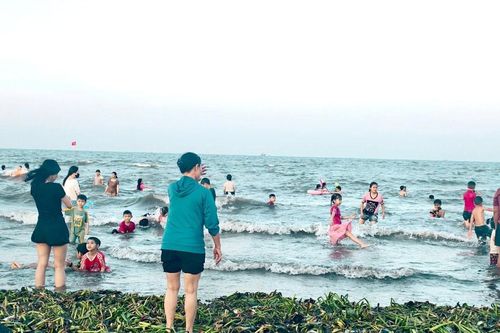 Cần xử lý triệt để tình trạng bèo tây, rác thải ở bãi biển Diễn Thành