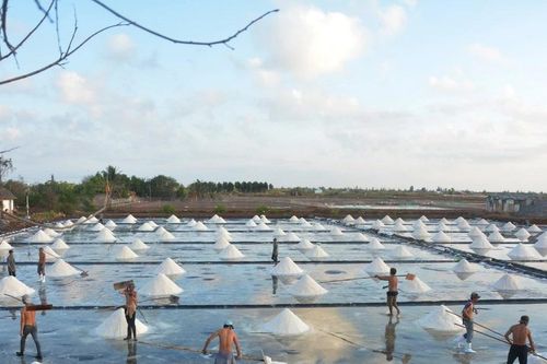 Lịch sử tỉnh Bạc Liêu - từ 'xóm nghèo' ven biển trở thành vùng đất trù phú