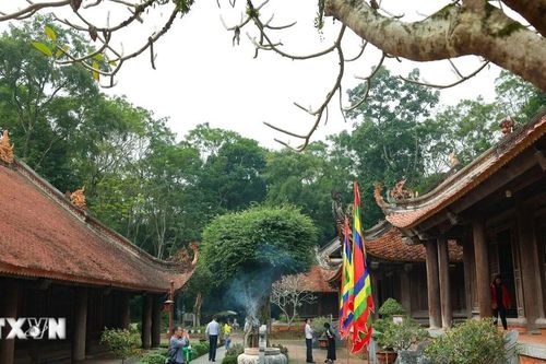 Di lý hai nghi can để làm rõ việc xâm phạm lăng mộ vua Lê Túc Tông ở Thanh Hóa