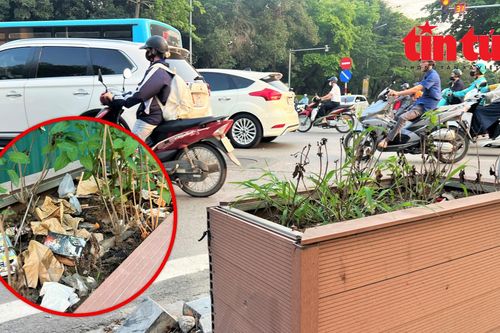 Nhếch nhác bồn hoa di động trên phố Nguyễn Thái Học, Hà Nội