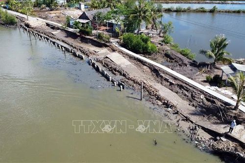 'Thấp thỏm' vì sụt lở nghiêm trọng tuyến đường đê tiểu vùng X - Nam Cà Mau